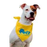 Bandanas para Cachorro