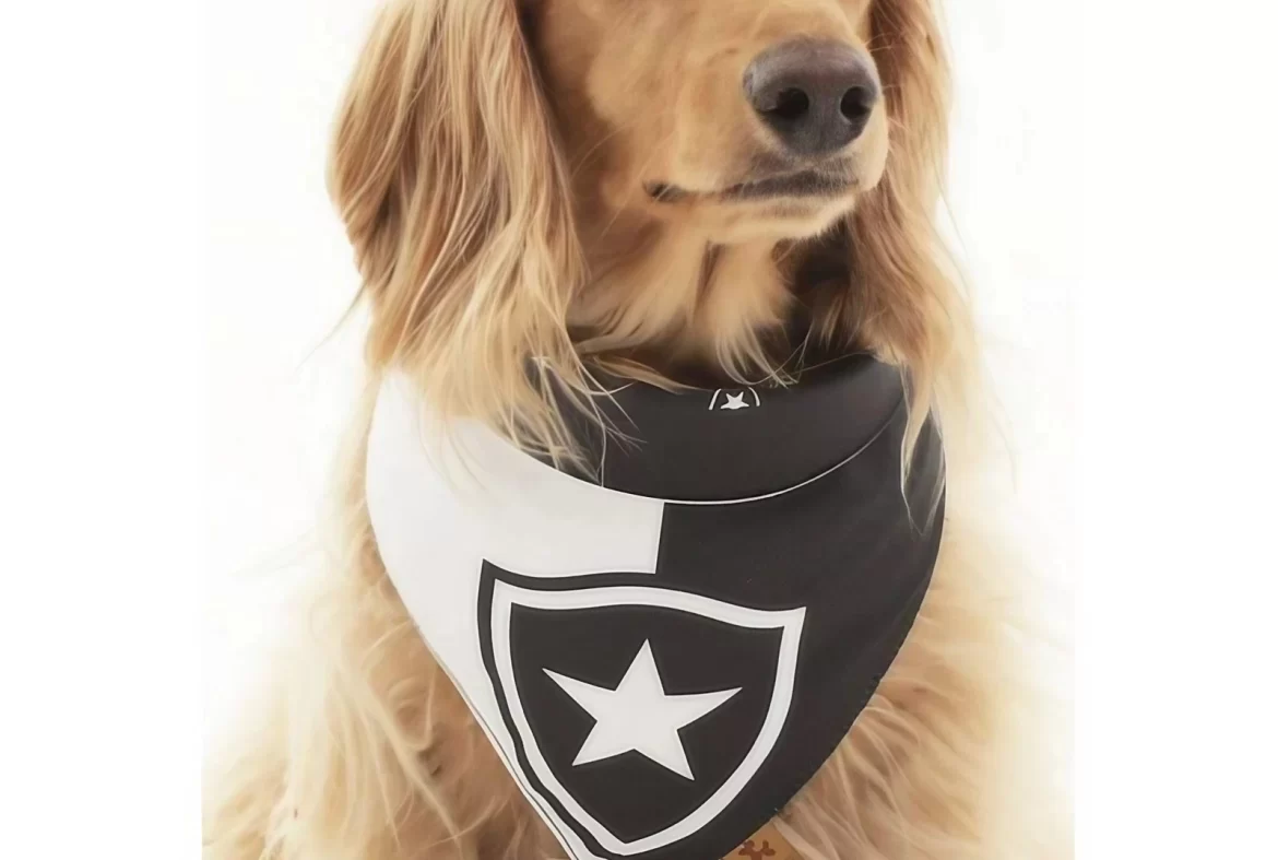 bandana para pet