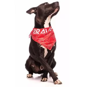 Bandana para Cachorro
