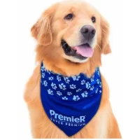 Bandana para Cachorro Personalizada